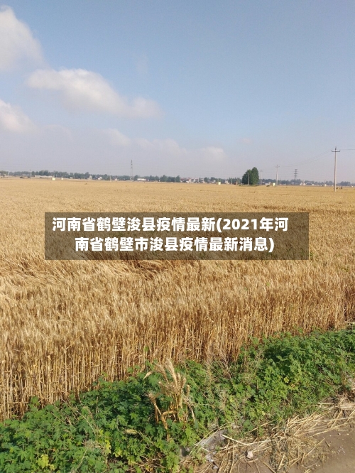 河南省鹤壁浚县疫情最新(2021年河南省鹤壁市浚县疫情最新消息)-第2张图片