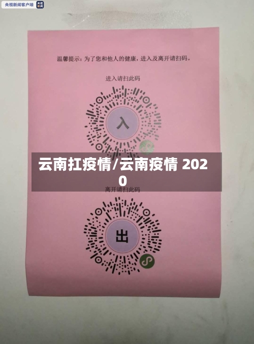 云南扛疫情/云南疫情 2020-第2张图片