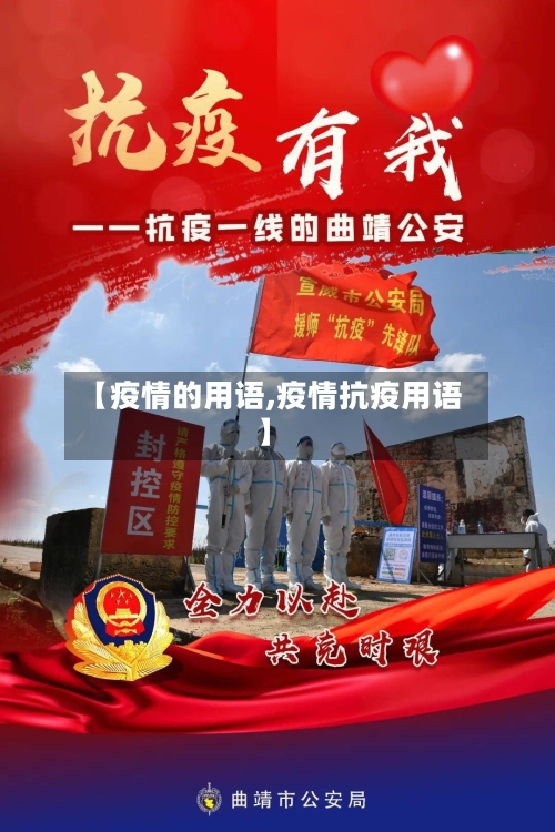 【疫情的用语,疫情抗疫用语】-第2张图片