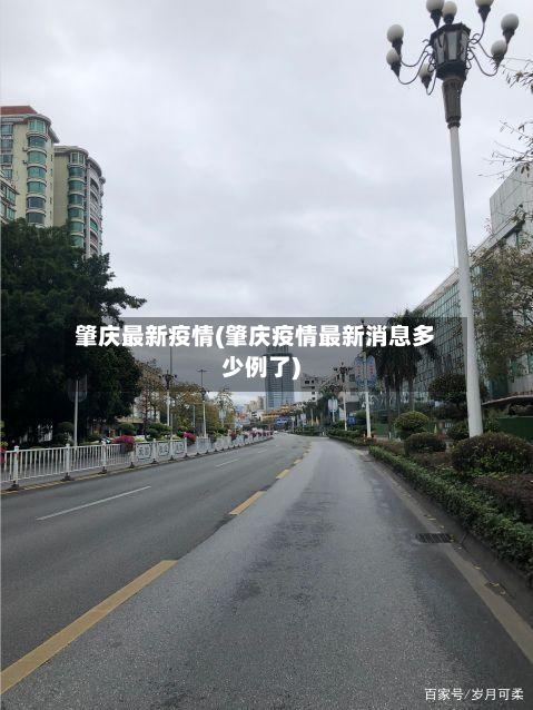 肇庆最新疫情(肇庆疫情最新消息多少例了)-第1张图片