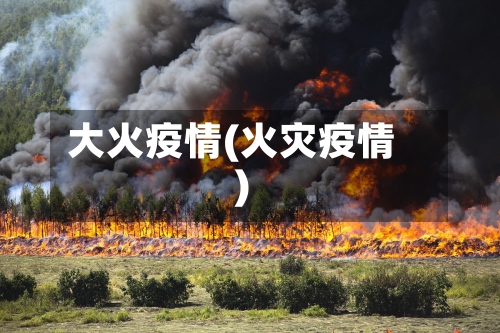 大火疫情(火灾疫情)-第1张图片