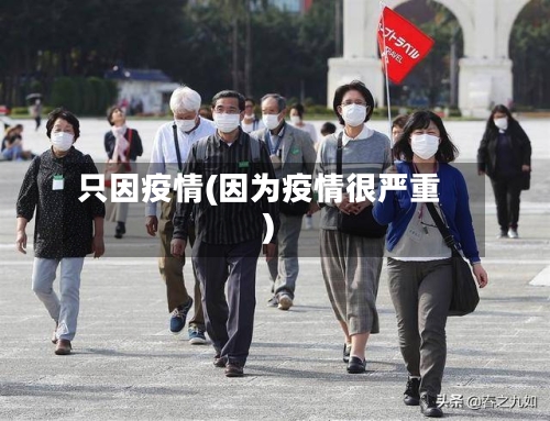 只因疫情(因为疫情很严重)-第3张图片