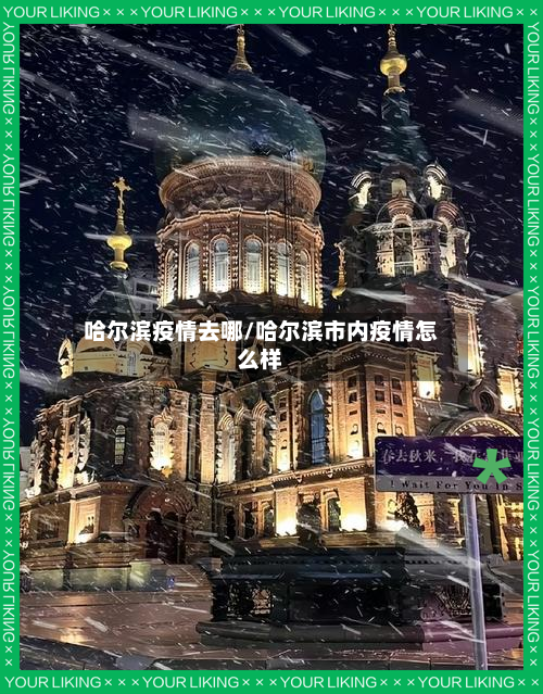 哈尔滨疫情去哪/哈尔滨市内疫情怎么样-第1张图片