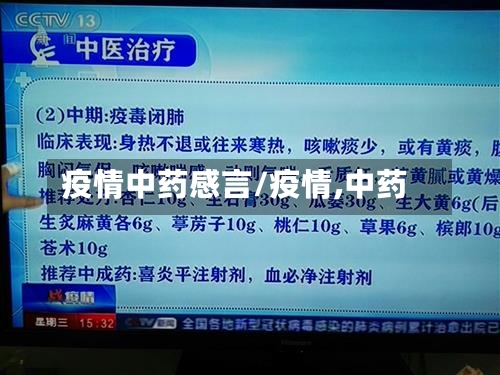 疫情中药感言/疫情,中药-第1张图片