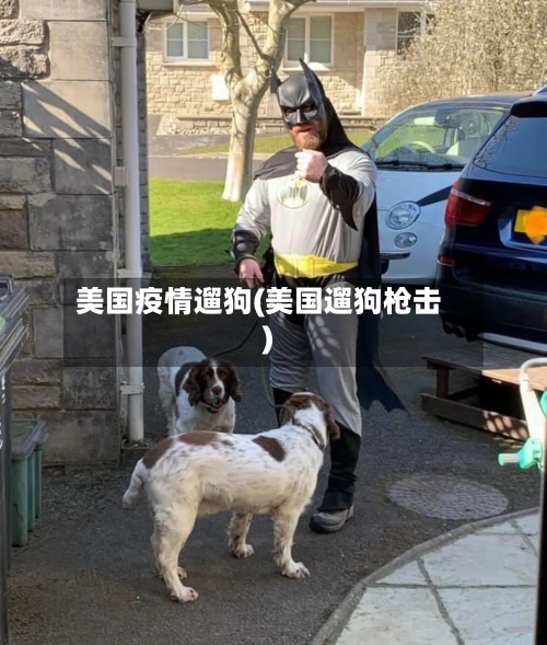 美国疫情遛狗(美国遛狗枪击)-第1张图片