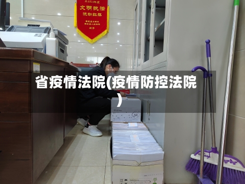 省疫情法院(疫情防控法院)-第1张图片