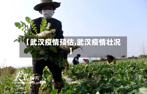【武汉疫情预估,武汉疫情壮况】-第2张图片