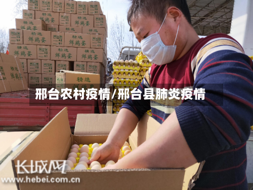 邢台农村疫情/邢台县肺炎疫情-第3张图片
