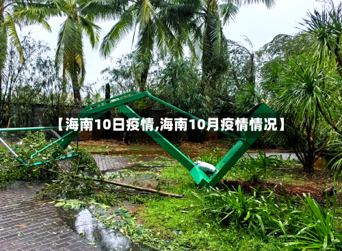 【海南10日疫情,海南10月疫情情况】-第2张图片