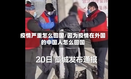疫情严重怎么回国/因为疫情在外国的中国人怎么回国-第1张图片