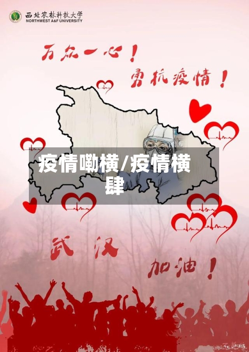 疫情嘞横/疫情横肆-第2张图片