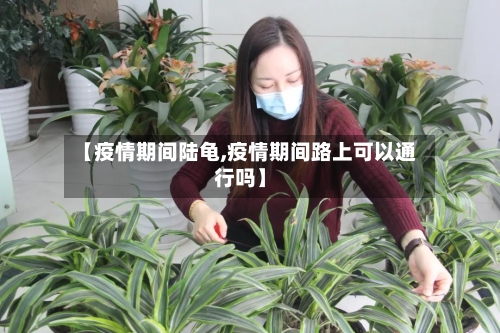 【疫情期间陆龟,疫情期间路上可以通行吗】-第1张图片