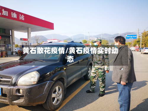 黄石散花疫情/黄石疫情实时动态-第3张图片