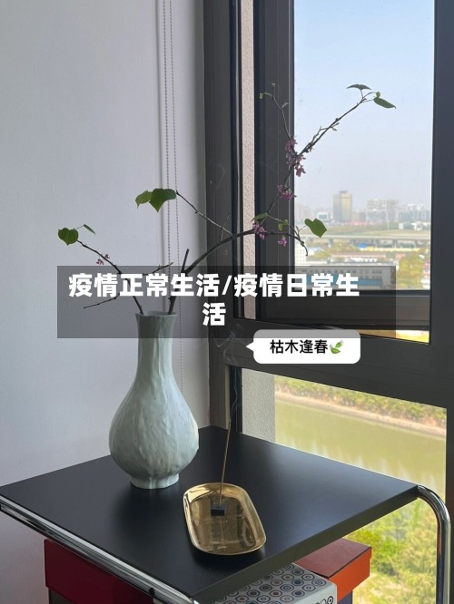 疫情正常生活/疫情日常生活-第1张图片