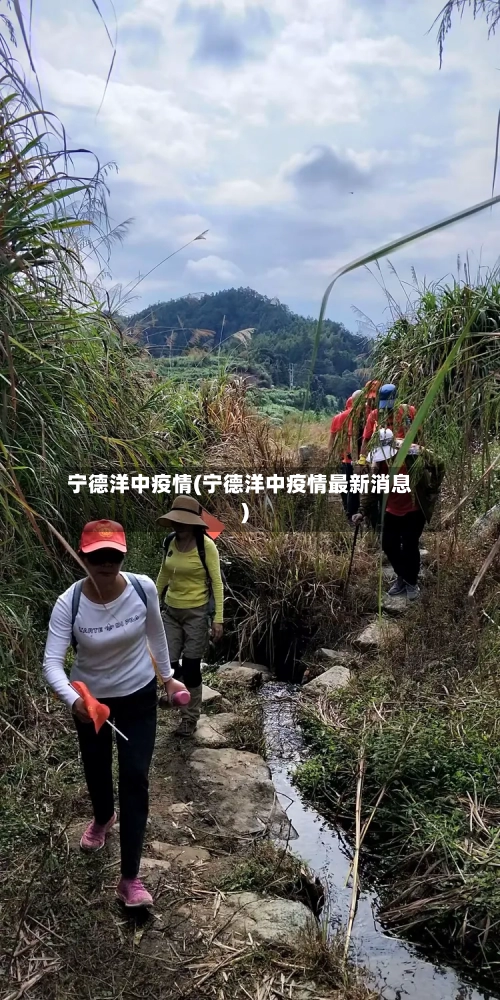 宁德洋中疫情(宁德洋中疫情最新消息)-第1张图片