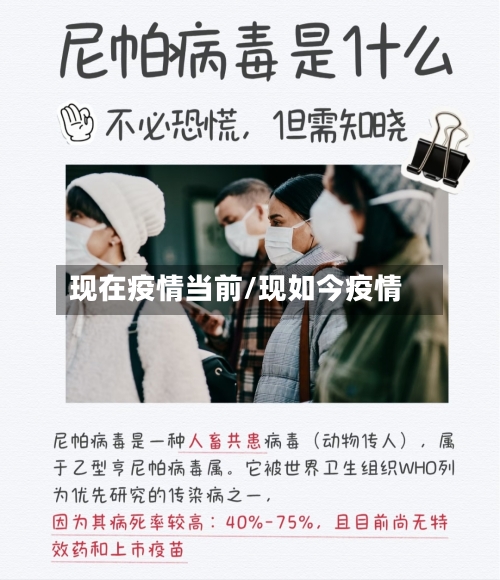 现在疫情当前/现如今疫情-第3张图片