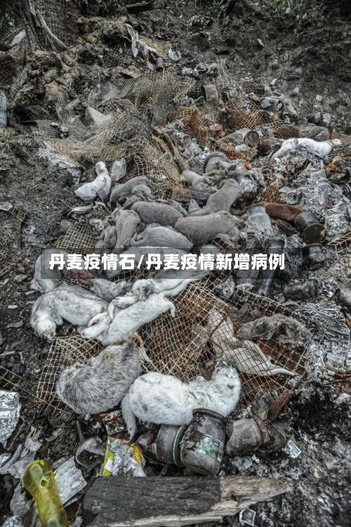 丹麦疫情石/丹麦疫情新增病例-第1张图片