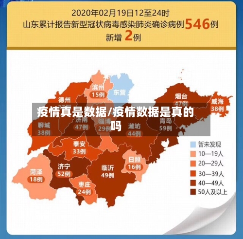 疫情真是数据/疫情数据是真的吗-第1张图片