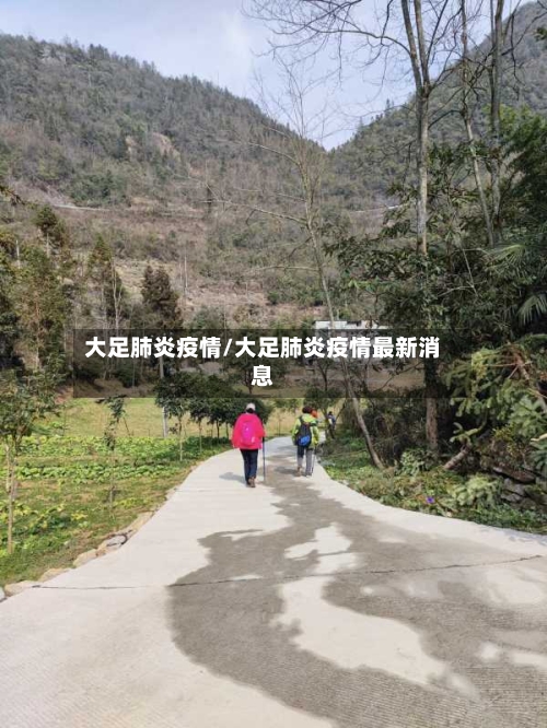 大足肺炎疫情/大足肺炎疫情最新消息-第2张图片