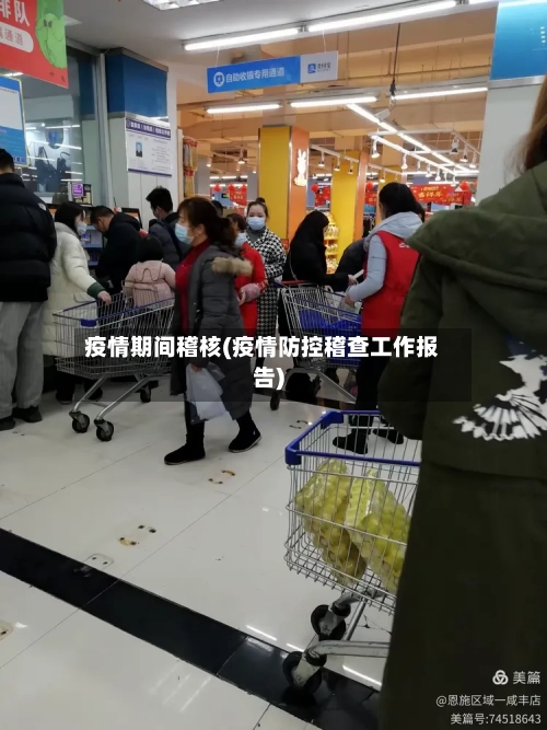 疫情期间稽核(疫情防控稽查工作报告)-第1张图片