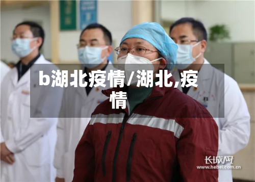 b湖北疫情/湖北,疫情-第1张图片