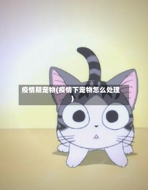 疫情期宠物(疫情下宠物怎么处理)-第3张图片