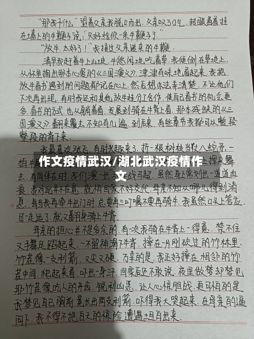 作文疫情武汉/湖北武汉疫情作文-第1张图片