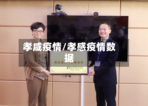 孝咸疫情/孝感疫情数据-第1张图片