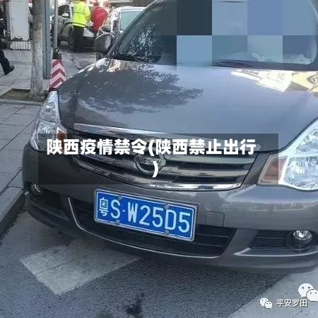 陕西疫情禁令(陕西禁止出行)-第2张图片