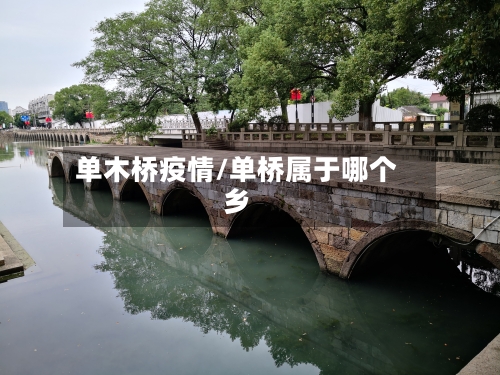 单木桥疫情/单桥属于哪个乡-第2张图片