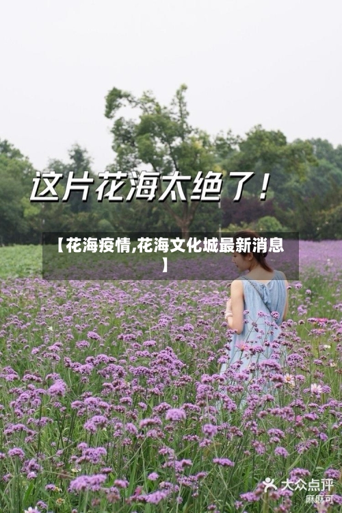 【花海疫情,花海文化城最新消息】-第1张图片
