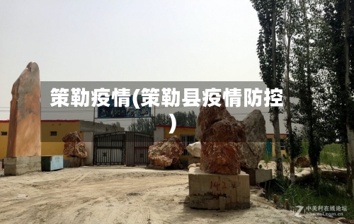 策勒疫情(策勒县疫情防控)-第2张图片
