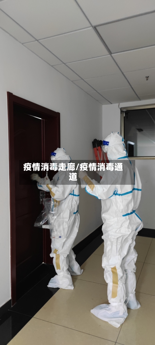 疫情消毒走廊/疫情消毒通道-第1张图片