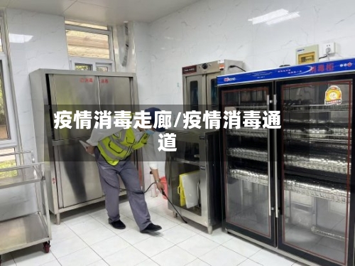 疫情消毒走廊/疫情消毒通道-第2张图片