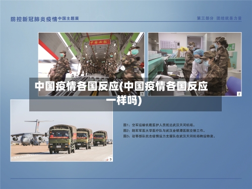 中国疫情各国反应(中国疫情各国反应一样吗)-第2张图片