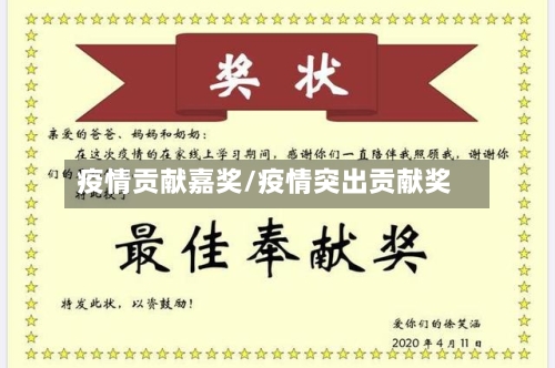 疫情贡献嘉奖/疫情突出贡献奖-第3张图片