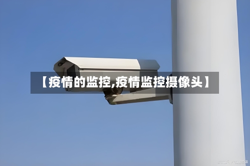 【疫情的监控,疫情监控摄像头】-第2张图片