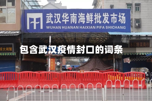 包含武汉疫情封口的词条-第1张图片