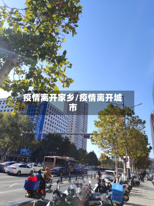 疫情离开家乡/疫情离开城市-第3张图片