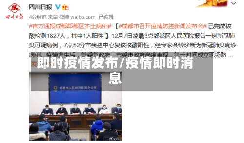 即时疫情发布/疫情即时消息-第1张图片
