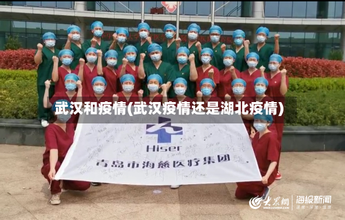 武汉和疫情(武汉疫情还是湖北疫情)-第2张图片