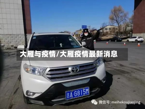 大雁与疫情/大雁疫情最新消息-第2张图片