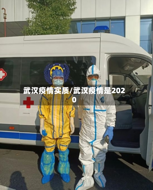武汉疫情实质/武汉疫情是2020-第2张图片