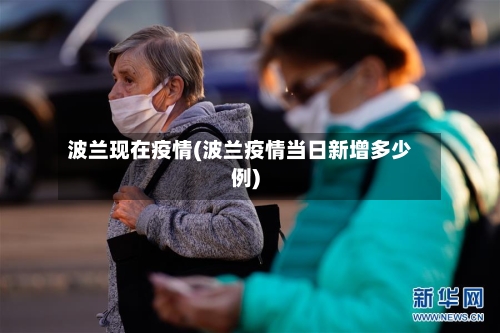 波兰现在疫情(波兰疫情当日新增多少例)-第3张图片