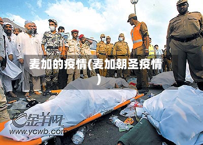麦加的疫情(麦加朝圣疫情)-第2张图片