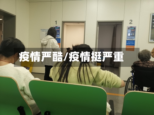 疫情严酷/疫情挺严重-第2张图片