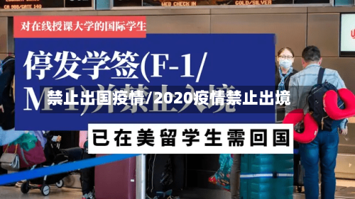 禁止出国疫情/2020疫情禁止出境-第1张图片