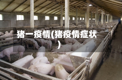 猪一疫情(猪疫情症状)-第1张图片