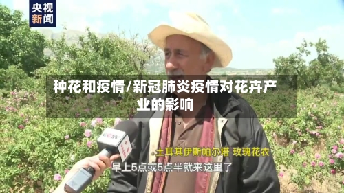种花和疫情/新冠肺炎疫情对花卉产业的影响-第1张图片