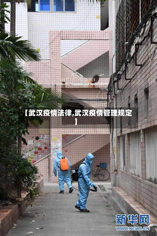 【武汉疫情法律,武汉疫情管理规定】-第1张图片